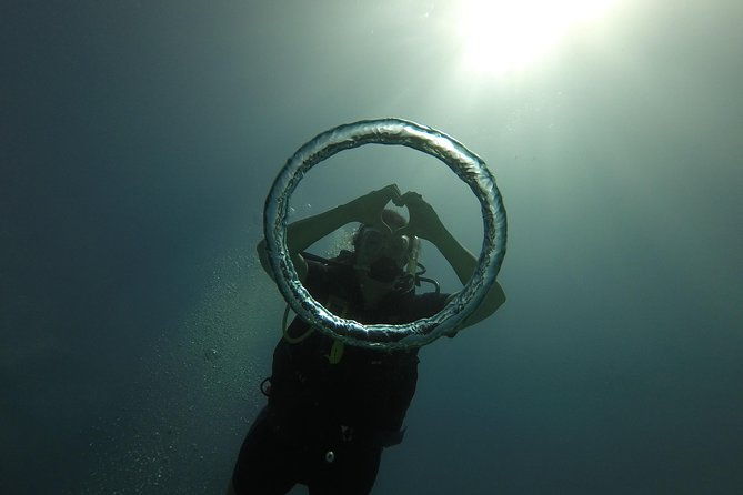catalina-island-scuba-diving-amazing-full-day-tour
