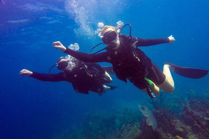 catalina-island-scuba-diving-amazing-full-day-tour