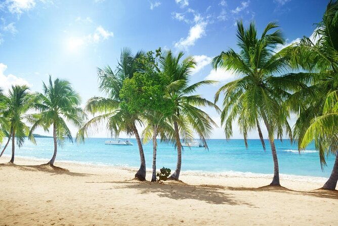 catalina-island-scuba-diving-and-snorkeling-tour-from-punta-cana