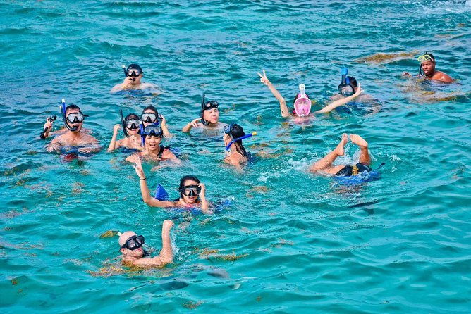 catalina-island-snorkling-tour-full-day-all-inclusive