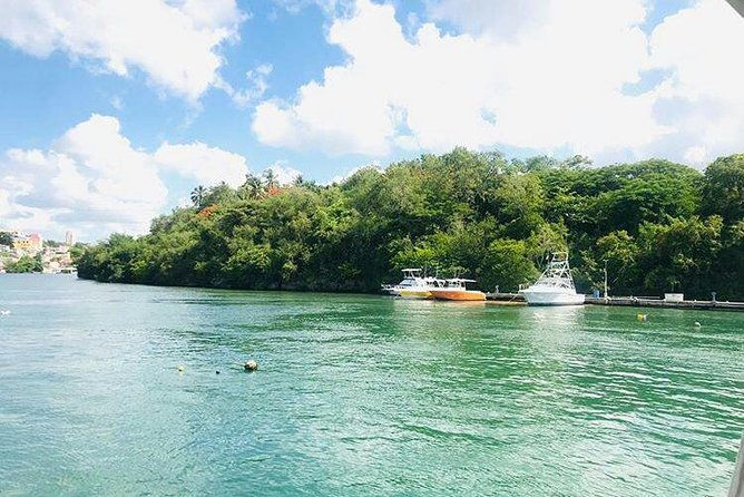 catalina-island-snorkling-tour-full-day-all-inclusive