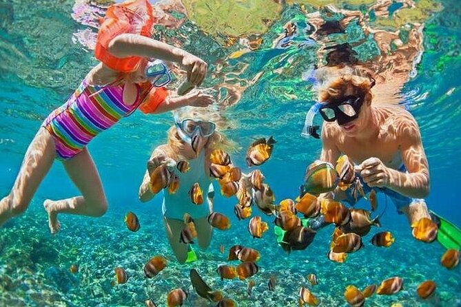 catalina-island-tour-with-snorkelling-and-lunch