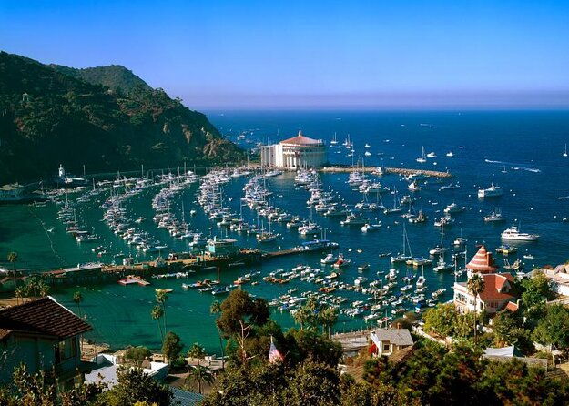 catalina-island-trip-with-zipline-eco-tour-and-hotel-transfers