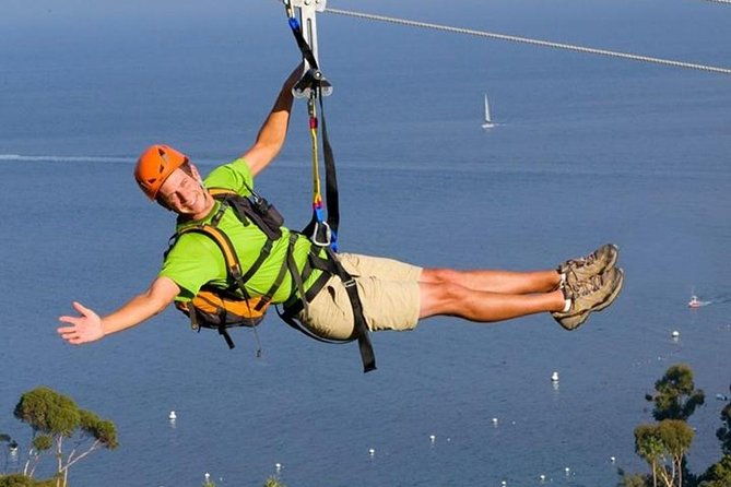 catalina-island-trip-with-zipline-eco-tour-and-hotel-transfers