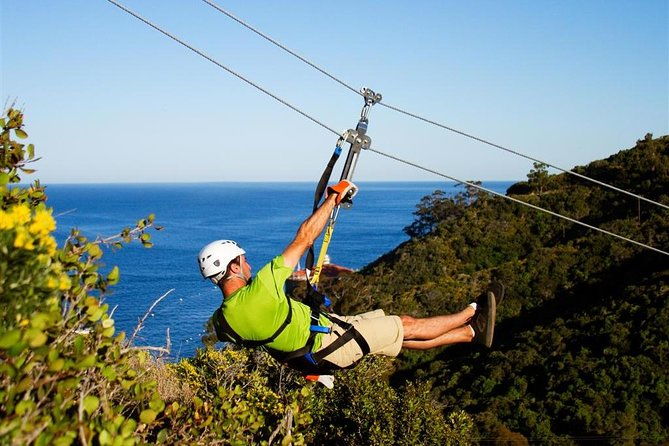 catalina-island-trip-with-zipline-eco-tour-and-hotel-transfers