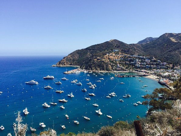 catalina-island-w-discover-avalon-scenic-tour-hotel-transfers