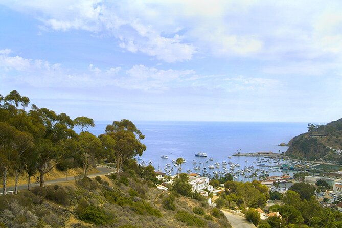 catalina-island-w-discover-avalon-scenic-tour-hotel-transfers