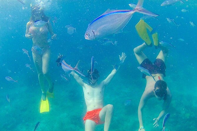 catalina-island-with-altos-de-chavon-full-day-all-inclusive