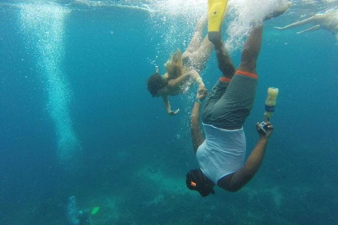 catalina-island-with-snorkel