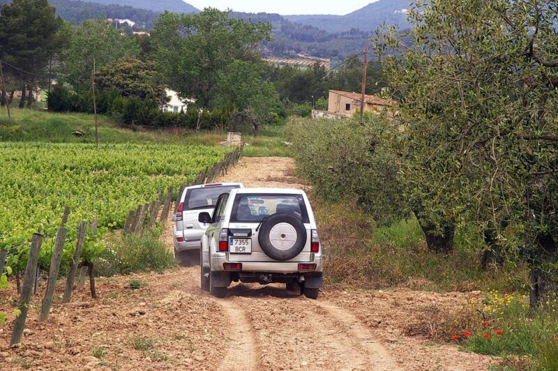 catalonia-unique-bespoke-wine-cellar-visits