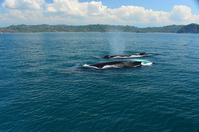 catamaran-adventure-from-manuel-antonio