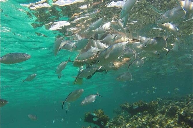 catamaran-boat-party-experience-in-punta-cana