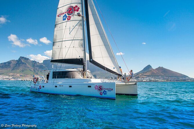 Catamaran Cruise and Sushi Experience in Cape Town - What Can You Expect During the Cruise?  