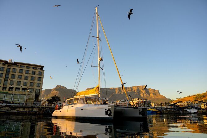 Catamaran Cruise in Cape Town - Authentic Experiences from Real Travelers