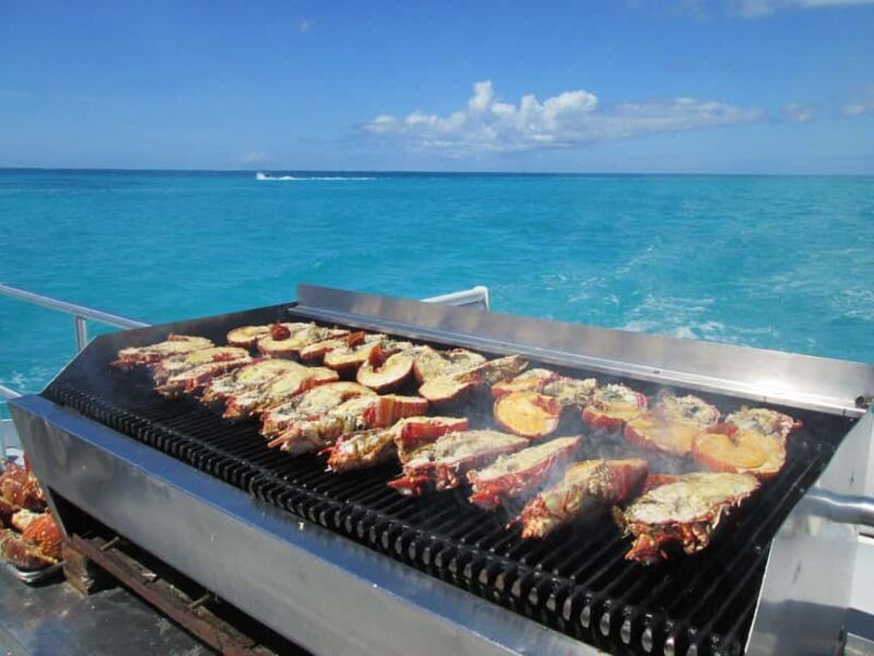 Catamaran Cruise to Ile Aux Cerfs with Lunch & Drinks - A Detailed Look at the Catamaran Experience in Mauritius