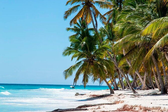 catamaran-cruise-to-saona-with-lunch-and-natural-swimming-pool