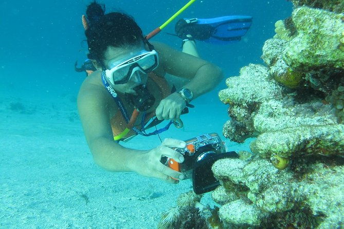 catamaran-cruise-with-snorkeling-hooka-diving-and-parasailing