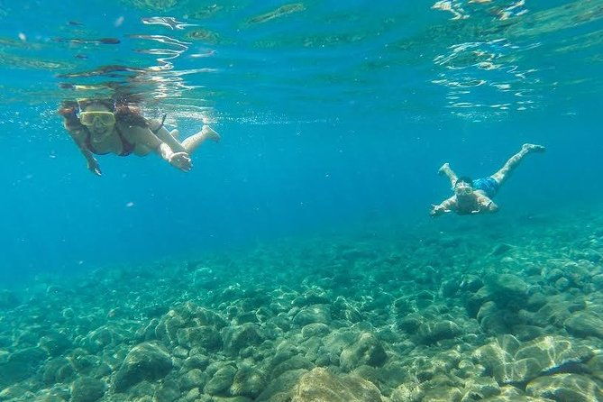 catamaran-day-cruise-to-desertas-islands-from-funchal