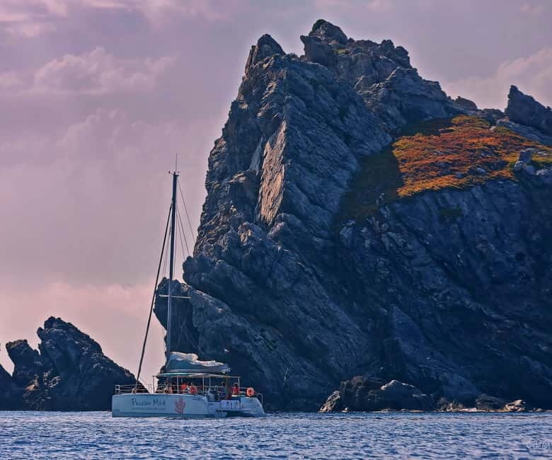 Catamaran day trip to the Giens Peninsula and Porquerolles Island - Key Points