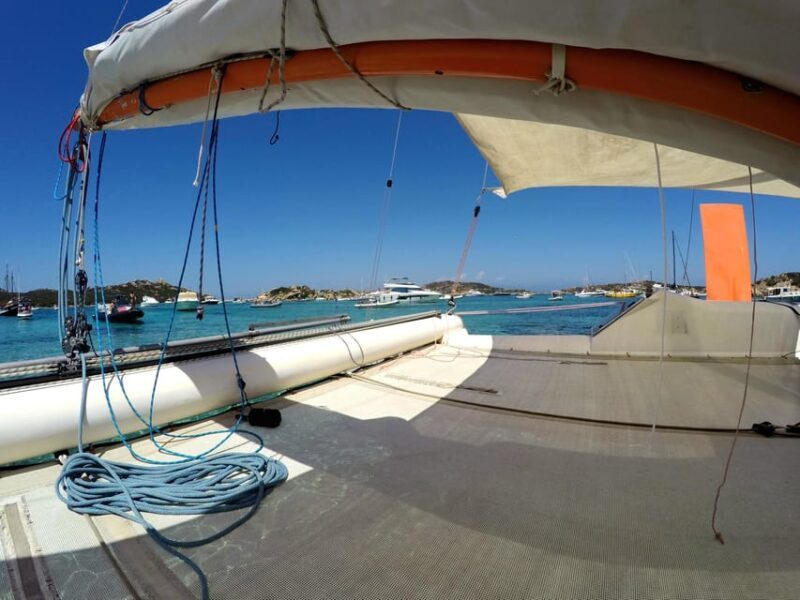 Catamaran: Day trips in La Maddalena's Archipelago - Key Points