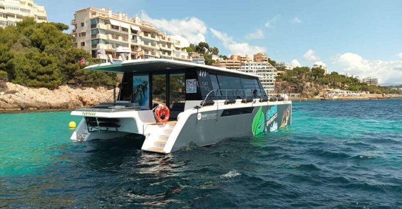 catamaran-eco-experience-at-palma-bay
