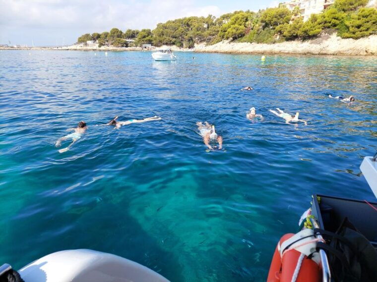 catamaran-eco-experience-at-palma-bay