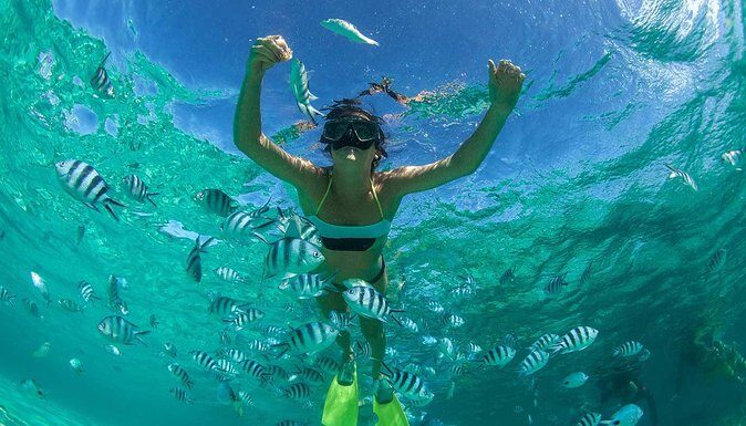Catamaran Experience to Ile aux cerf: incl: Parasailing, Lunch, GRSE & Transfer - Key Points