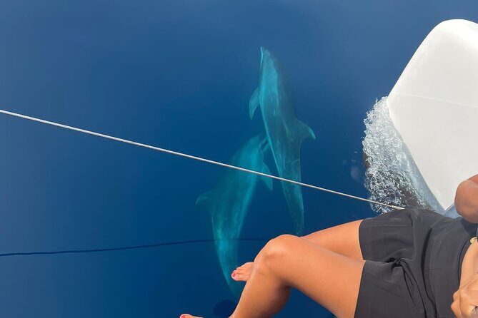 Catamaran Half Day - Beautiful day on the Atlantic Ocean - Overview of the Experience