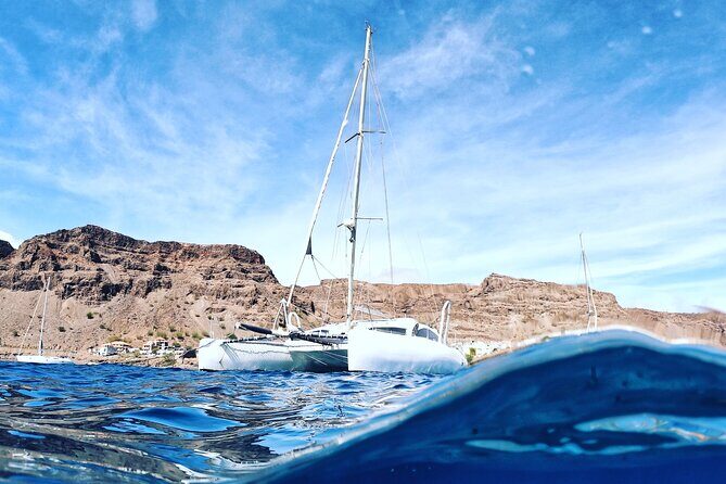 Catamaran Half Day - Beautiful day on the Atlantic Ocean - Accessibility and Practical Info