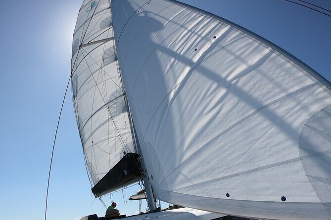 Catamaran in Alghero, daily boat trip - Practical Details and Tips
