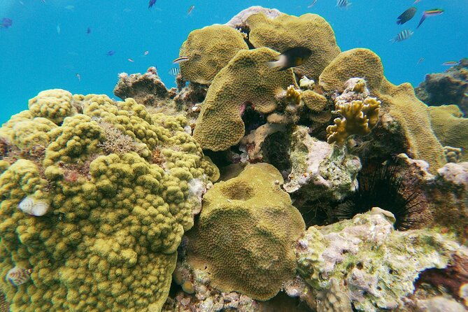 catamaran-party-cruise-with-snorkeling-bbq