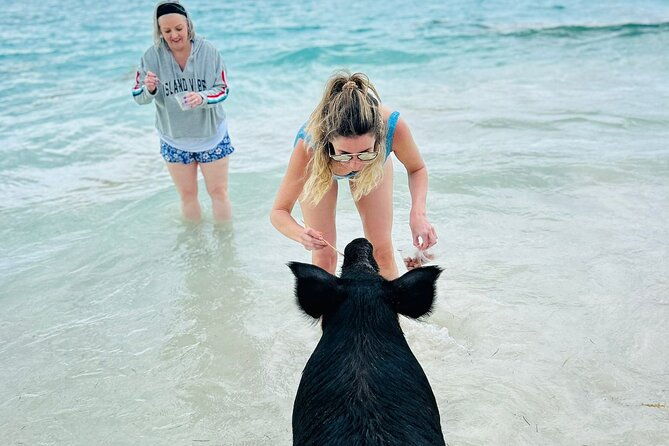 catamaran-reef-snorkel-turtle-adventure