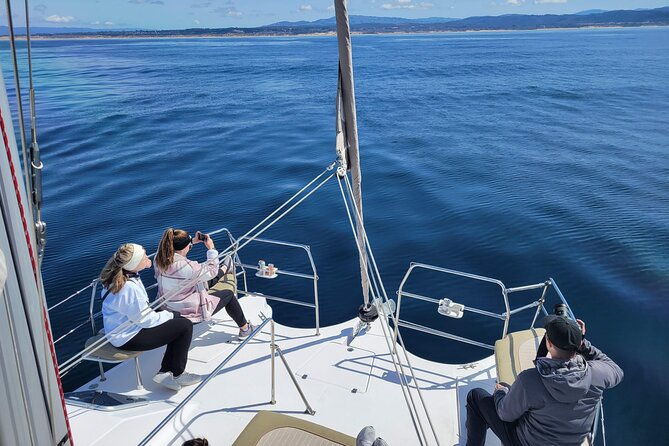 catamaran-sailing-cruise-in-monterey
