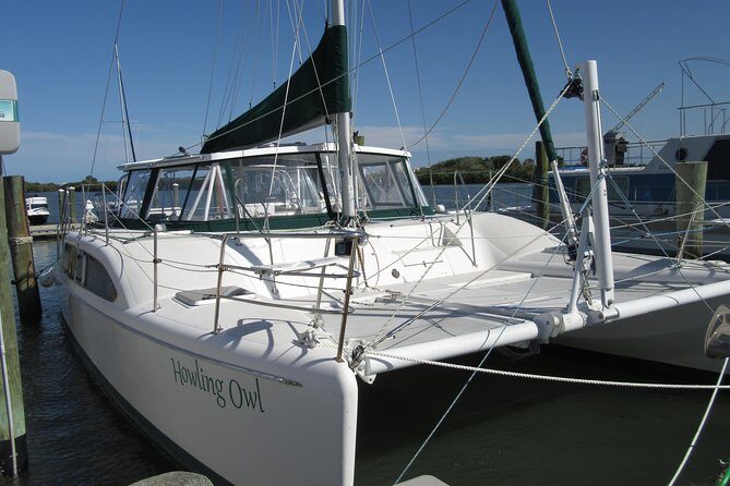 Catamaran Sailing Dolphin/Manatee Watch in Daytona Beach - An In-Depth Look at the Catamaran Experience