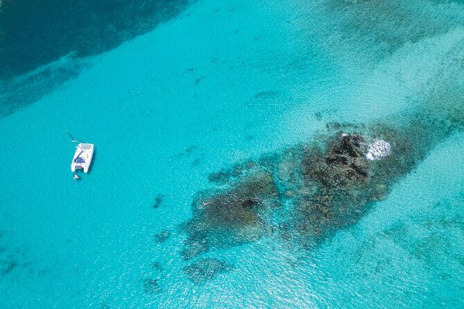 Catamaran Sailing Tour or Whale Watching at Boa Vista - Key Points
