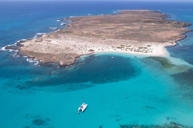 Catamaran Sailing Tour or Whale Watching at Boa Vista - Overview of the Experience