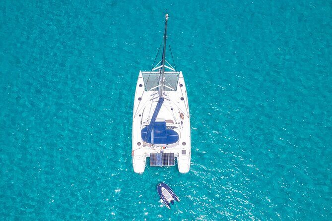 Catamaran Sailing Tour or Whale Watching at Boa Vista - Who Will Love This Tour?