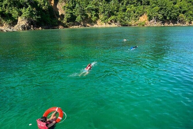 Catamaran Snorkeling in Kota Kinabalu - What You Can Expect at Pulau Gaya