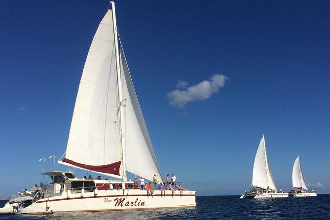 catamaran-snorkeling-sunset-sailing-tour