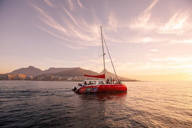 Catamaran Sunset Champagne Cruise Cape Town - Key Points  