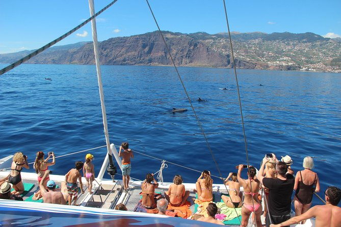catamaran-sunset-cruise-from-funchal
