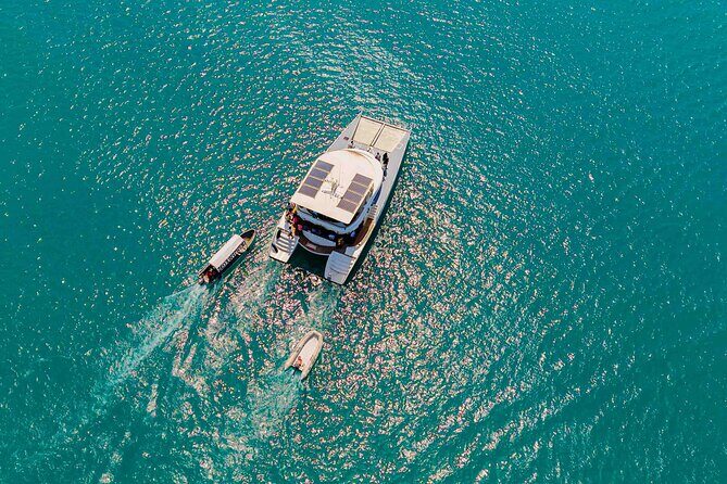 Catamaran Sunset Cruise in Stone Town - Final Thoughts