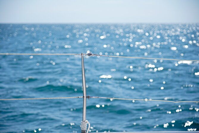 catamaran-tour-with-swimming-stop-in-malaga