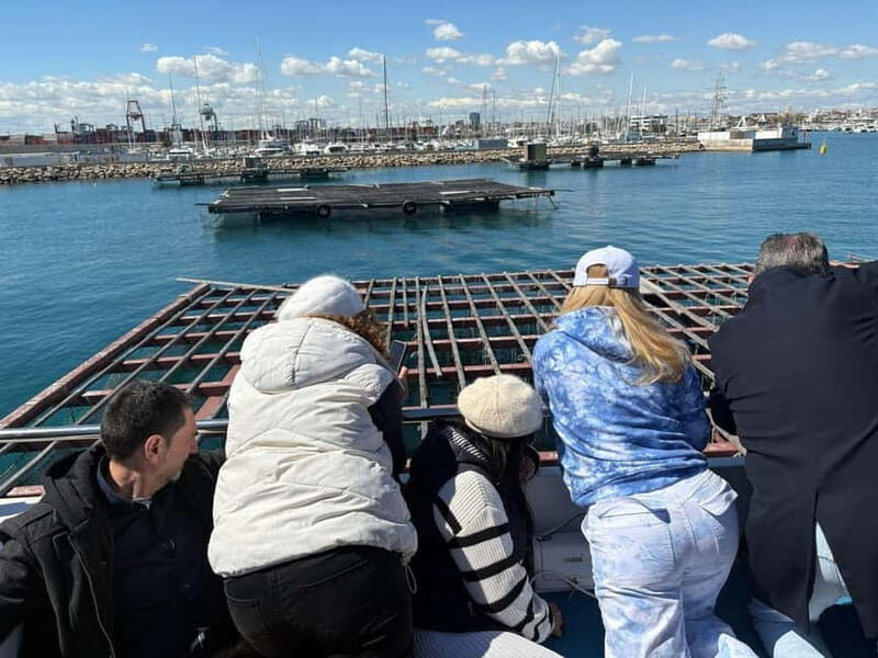 Catamaran trip and visit to the mussel nurseries with a snack - Key Points