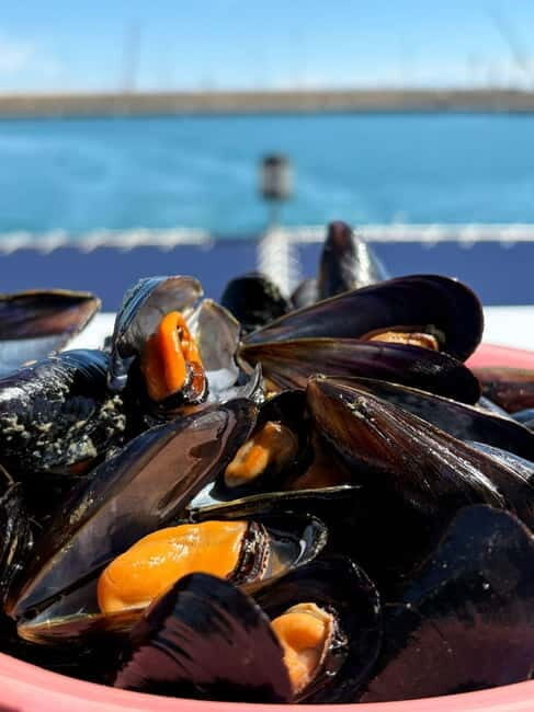 Catamaran trip and visit to the mussel nurseries with a snack - Exploring Valencia from the Sea: What You Can Expect