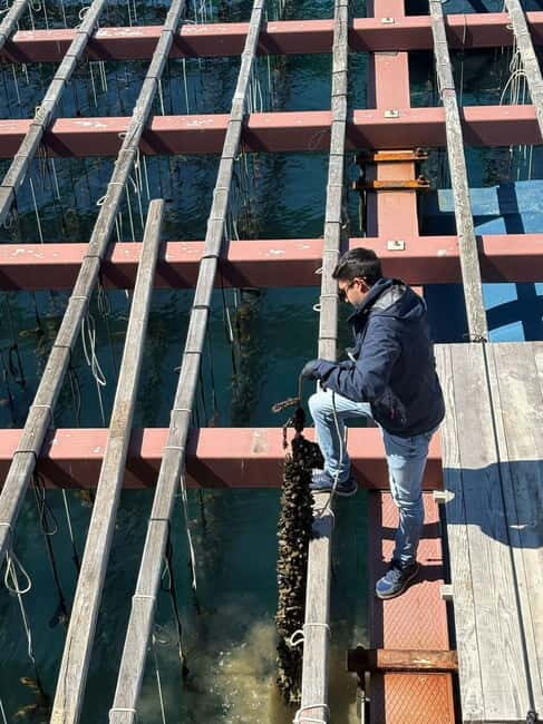 Catamaran trip and visit to the mussel nurseries with a snack - The Practical Side: What You Need to Know