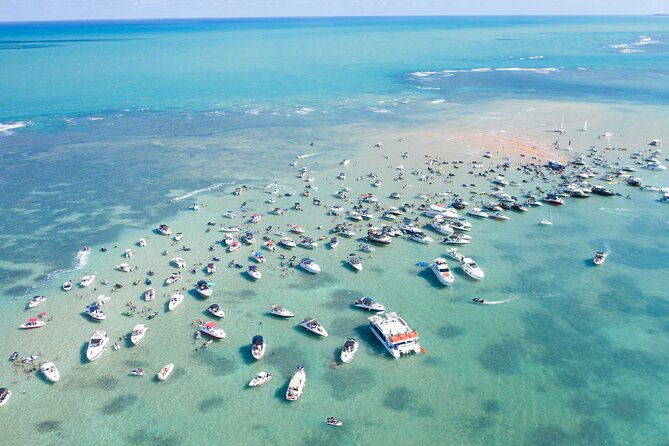 catamaran-trip-to-areia-vermelha-island-with-transfer