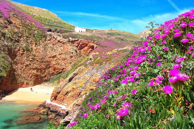 catamaran-trip-to-berlengas-island-visit-to-the-caves