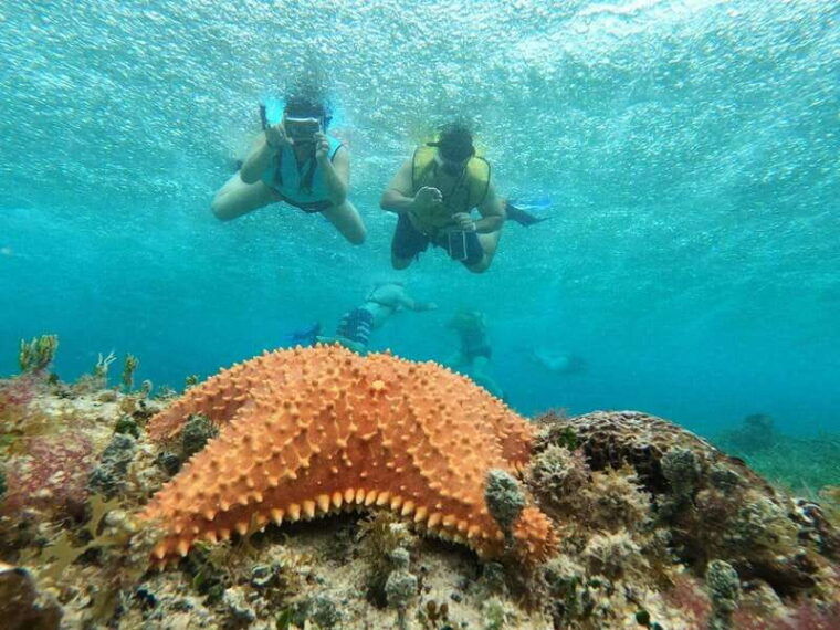 catamaranel-cielo-palancar-reef-and-colombia-reef