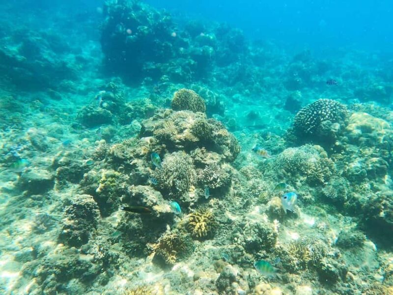 Catanduanes in 3 days: Koh-Lanta spirit, local fishing, and a secret beach - FAQ